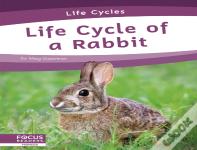 Life Cycle Of A Rabbit