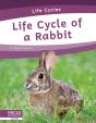 Life Cycle Of A Rabbit - Preview