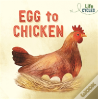 Life Cycles: Egg To Chicken