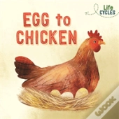 Life Cycles: Egg To Chicken
