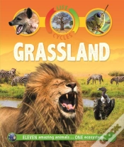 Capa do artigo Life Cycles: Grassland