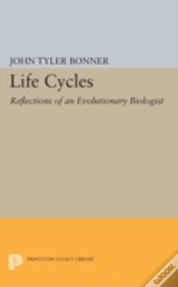 Capa do artigo Life Cycles