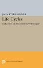 Life Cycles - Preview