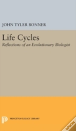 Capa do artigo Life Cycles