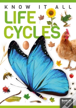 Capa do artigo Life Cycles