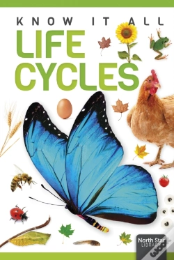 Capa do artigo Life Cycles