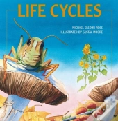 Life Cycles