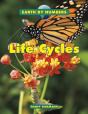 Life Cycles - Preview