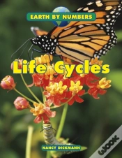 Capa do artigo Life Cycles