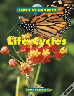 Capa do artigo Life Cycles