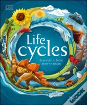 Life Cycles