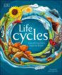 Life Cycles - Preview