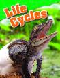 Life Cycles - Preview
