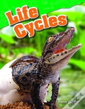 Capa do artigo Life Cycles