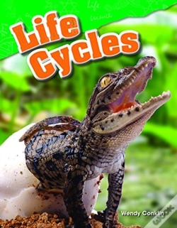 Capa do artigo Life Cycles
