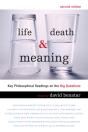 Life, Death, And Meaning - Preview