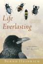 Life Everlasting - Preview