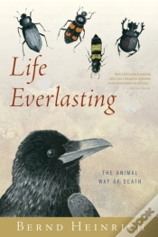Capa do artigo Life Everlasting