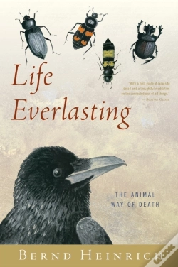 Capa do artigo Life Everlasting