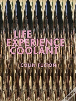 Capa do artigo Life Experience Coolant