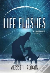 Capa do artigo Life Flashes