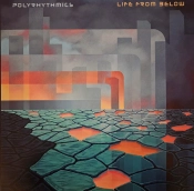 Capa do artigo Life From Below - Vinil
