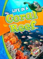 Life In A Coral Reef