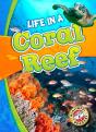 Life In A Coral Reef - Preview
