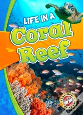 Life In A Coral Reef