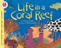Life In A Coral Reef - Preview