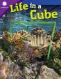 Life In A Cube - Preview