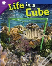 Capa do artigo Life In A Cube