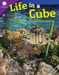 Capa do artigo Life In A Cube