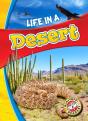Life In A Desert - Preview