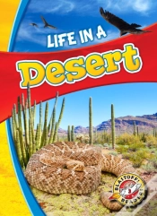 Capa do artigo Life In A Desert