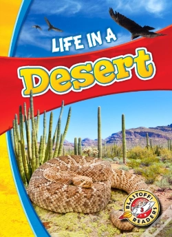 Capa do artigo Life In A Desert