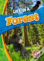 Life In A Forest