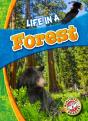Life In A Forest - Preview