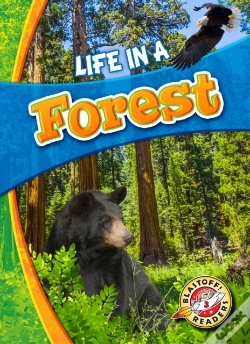 Capa do artigo Life In A Forest