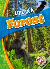Capa do artigo Life In A Forest