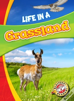 Capa do artigo Life In A Grassland