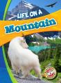 Life In A Mountain - Preview
