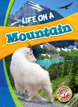 Capa do artigo Life In A Mountain