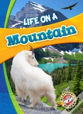 Life In A Mountain