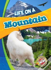 Capa do artigo Life In A Mountain