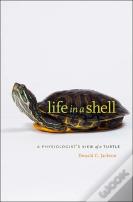 Life In A Shell