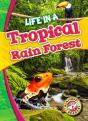 Life In A Tropical Rain Forest - Preview