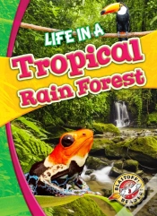 Capa do artigo Life In A Tropical Rain Forest