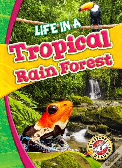 Capa do artigo Life In A Tropical Rain Forest