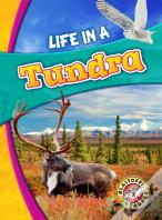 Life In A Tundra
